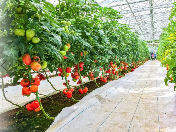 “三科變頻器”